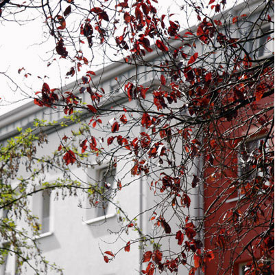 Stella Gruppe - Immobilien